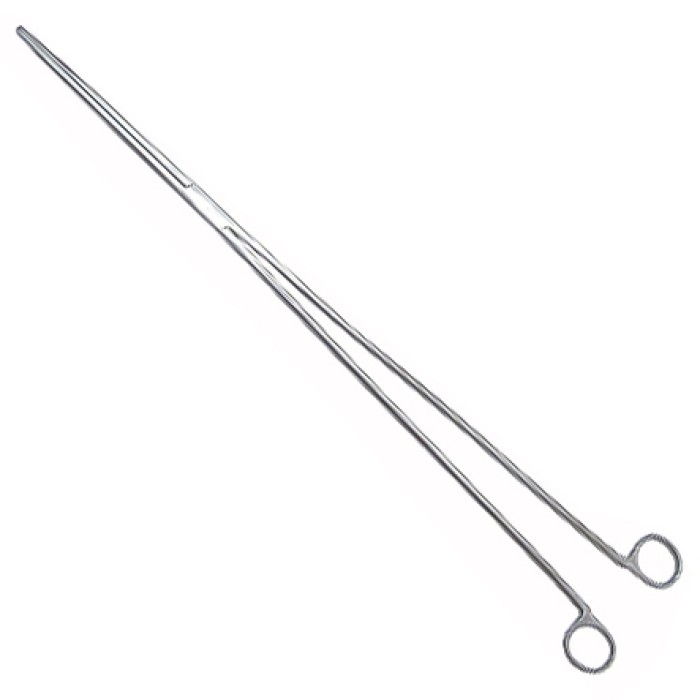 Reptile Feeding Forceps